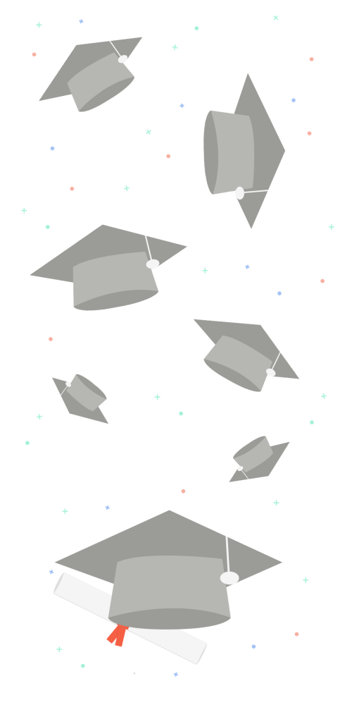 undraw_Graduation_ktn0 - Kopie